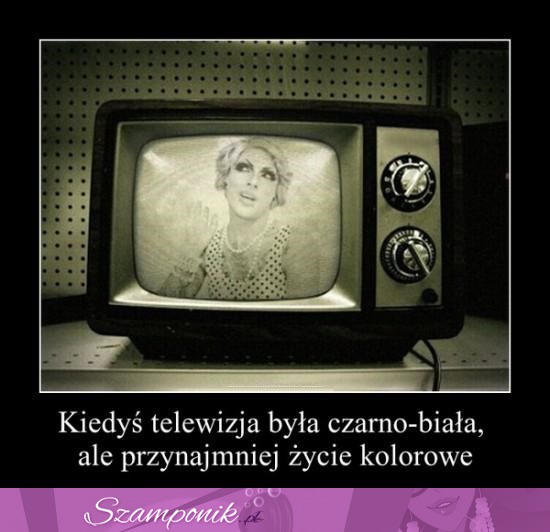 Telewizja i życie