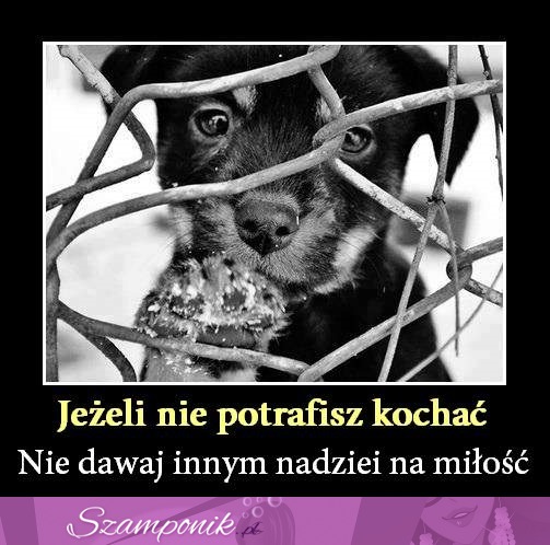 Jeśli nie potrafisz kochać...