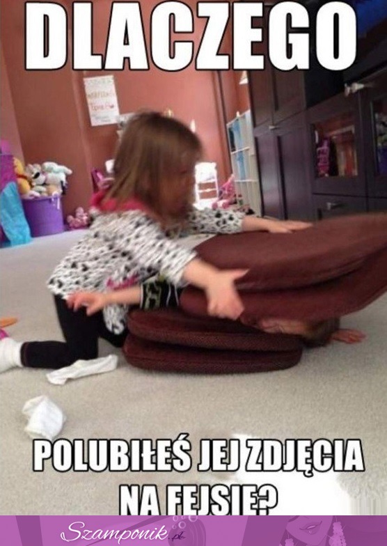 Dlaczego je polubiłeś! ;D