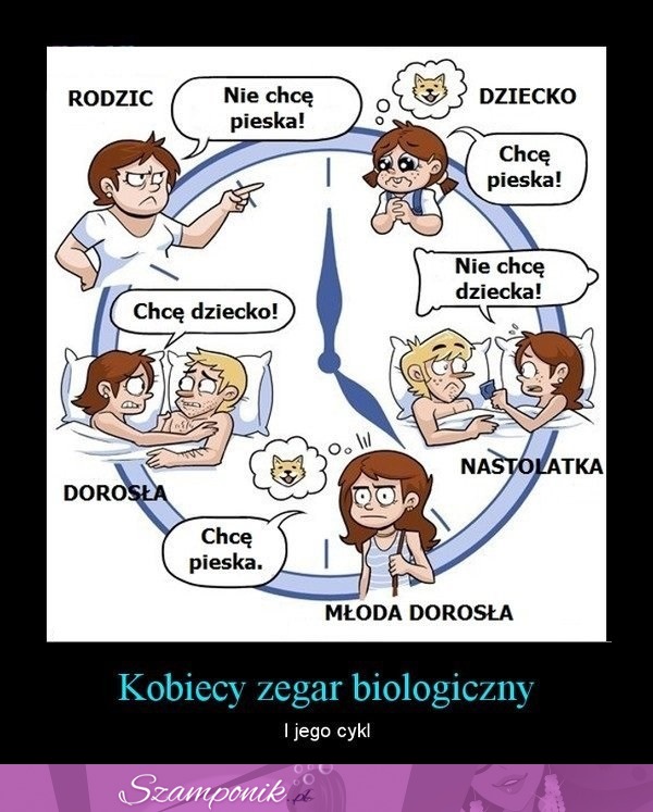 Kobiecy ZEGAR BIOLOGICZNY i jego cykl! Zgodzisz się z tym?!