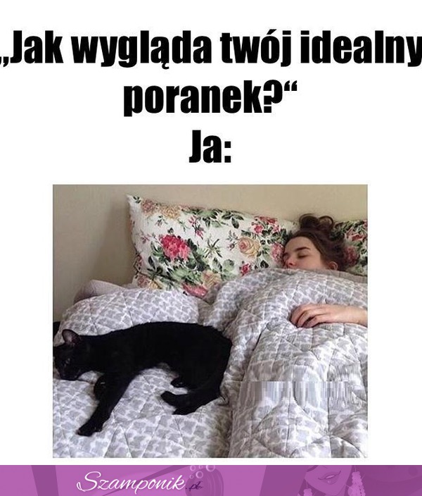 Mój idealny poranek