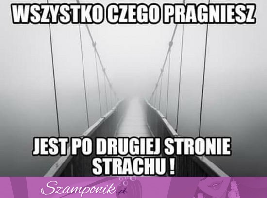 Wszystko czego pragniesz