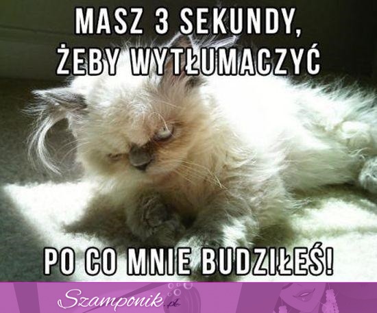 Masz 3 sekundy