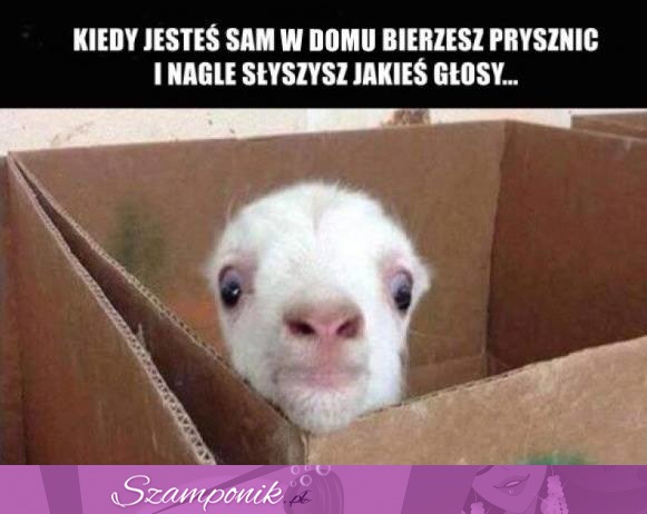 Kiedy jesteś sam w domu