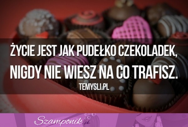 Życie jest jak pudełko czekoladek