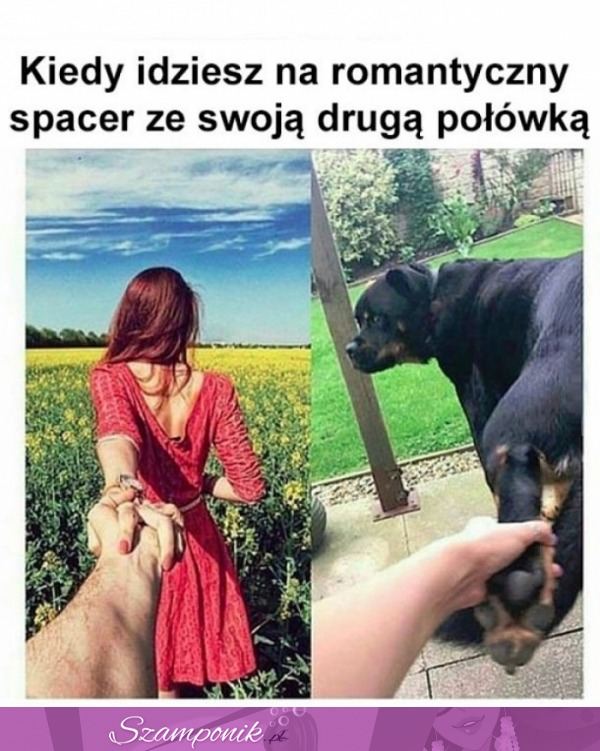 Moja najbliższa osoba