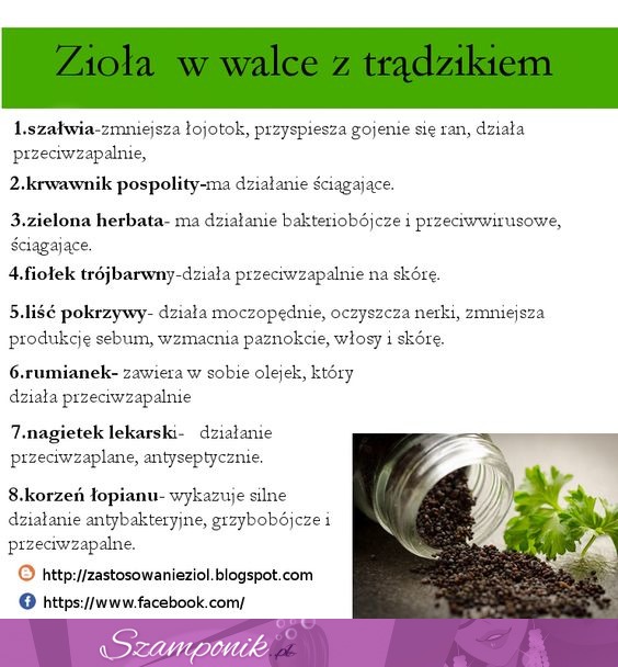 Zioła, które pomogą ci w walce z trądzikiem