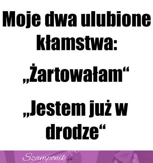 Moje ulubione kłamstwa