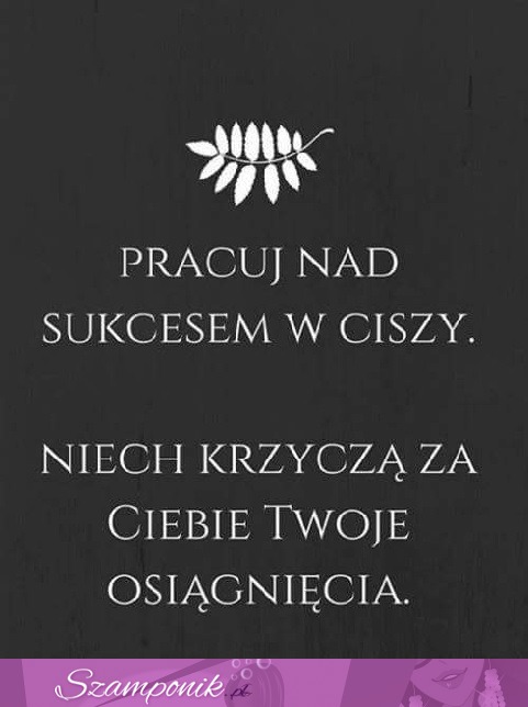 Pracuj nad sukcesem w ciszy.