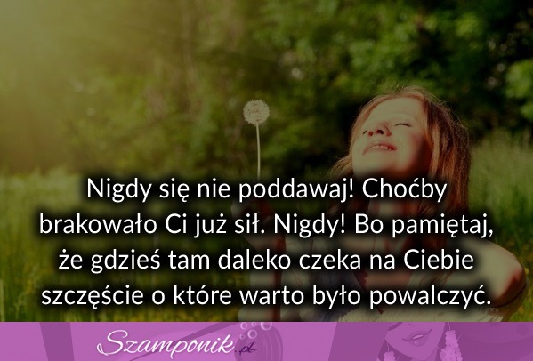 Nigdy się nie poddawaj!