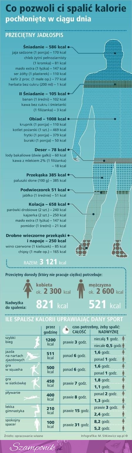 Poznaj prawidłowy jadłospis oraz jak najlepiej spalić kalorie! Super poradnik dla każdego