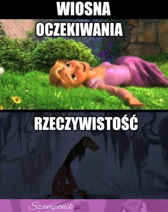 Wiosna oczekiwania VS rzeczywistość