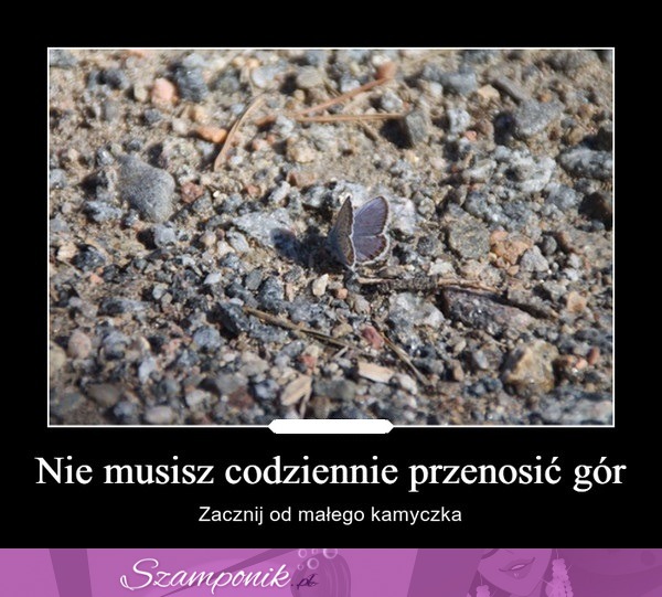 Nie musisz