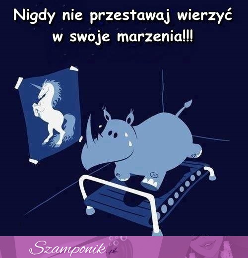 Nigdy nie przestawaj wierzyć