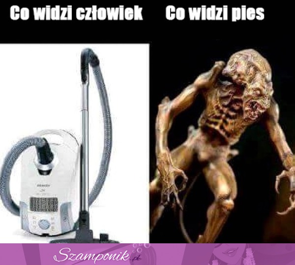 Już wszystko wiem!