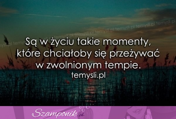 Są w życiu takie momenty