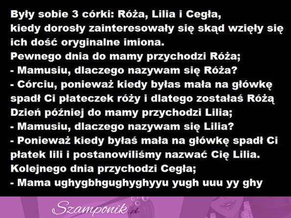 Matka miąła trzy córki Różę, Lilię i Cegłę pewne dnia spytały się dlaczego mają takie imiona. Dlaczego cegła? :D