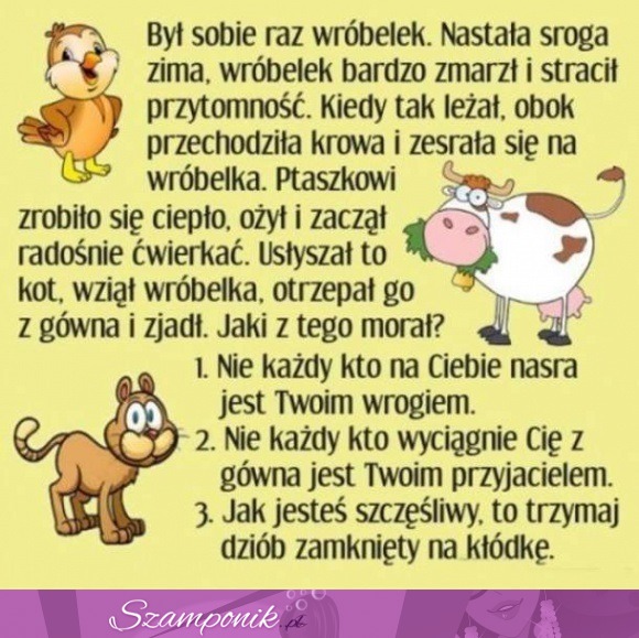 Jaki jest z tego morał? Kawał, ale bardzo pouczający ;D