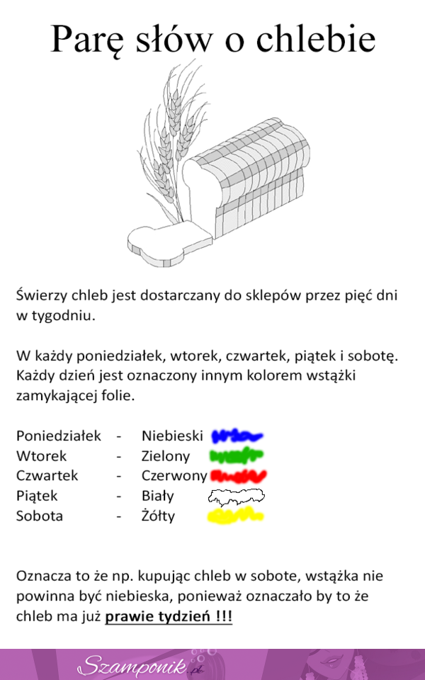 Parę słów o chlebie... Warto to wiedzieć!