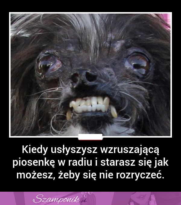 Kiedy usłyszysz wzruszającą piosenkę