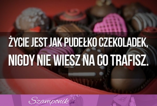 Życie jest jak pudełko czekoladek