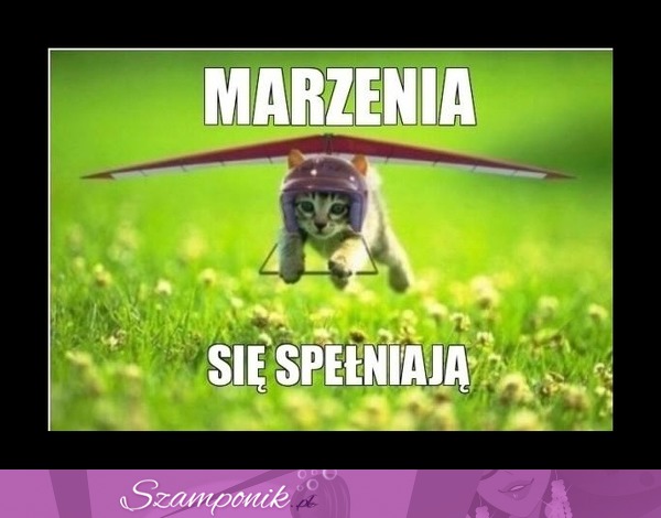 Marzenia się spełniają