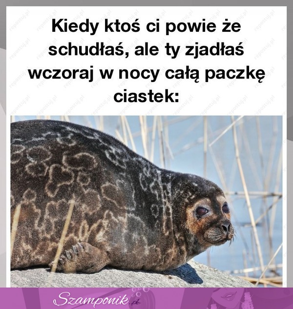 Nie mów tak...