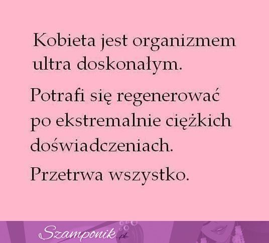 Przetrwa wszystko-kobieta ;D