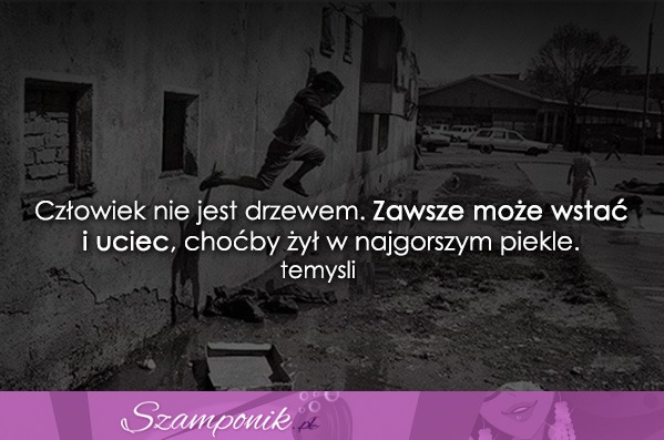 Człowiek nie jest drzewem. Zawsze może...