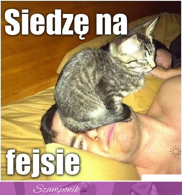 Siedzę na fejsie! ;)