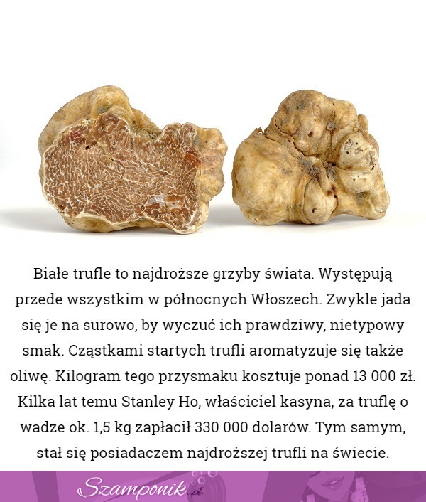 Ile kosztuje największa trufla na świecie? Postawilibyście sobie niezły dom za tę kwotę ;)