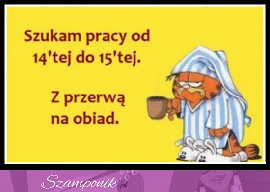 Szukam pracy