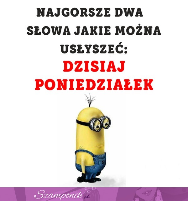 Poniedziałek