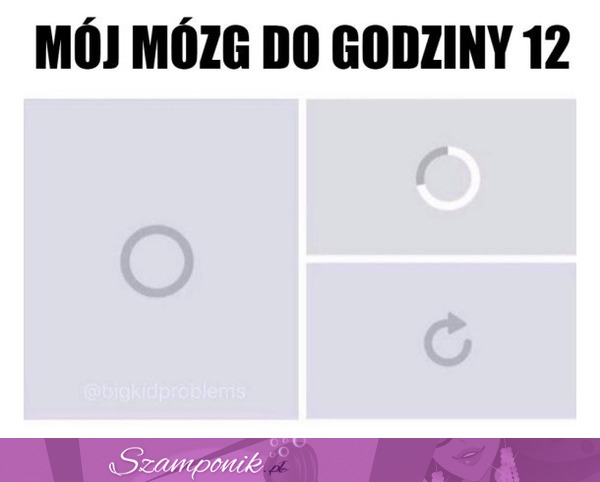 Mój mózg