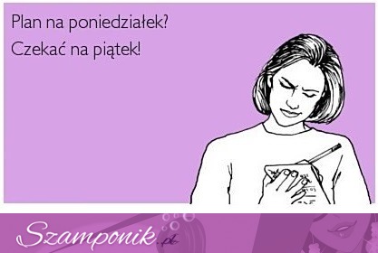 Plan na poniedziałek