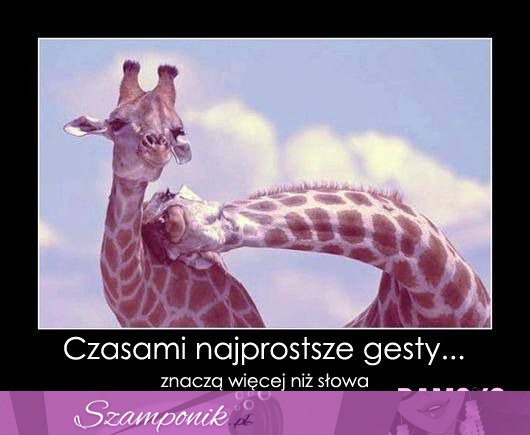 Czasami najprostrze gesty...