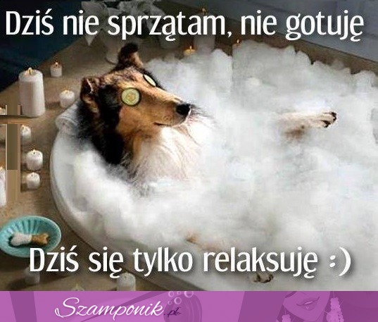 Dzisiaj się relaksuję ;D