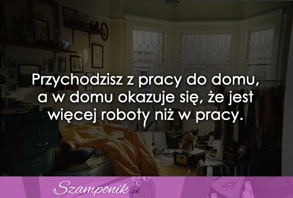 Przychodzisz z pracy do domu...