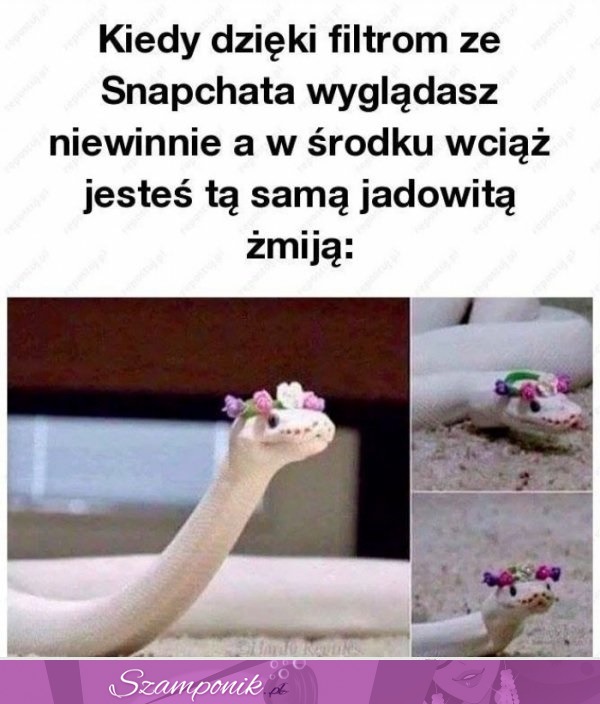 Nie jest tak źle