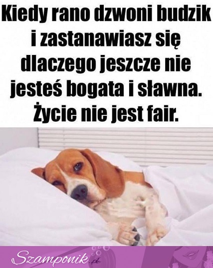 Życie jesty strasze!