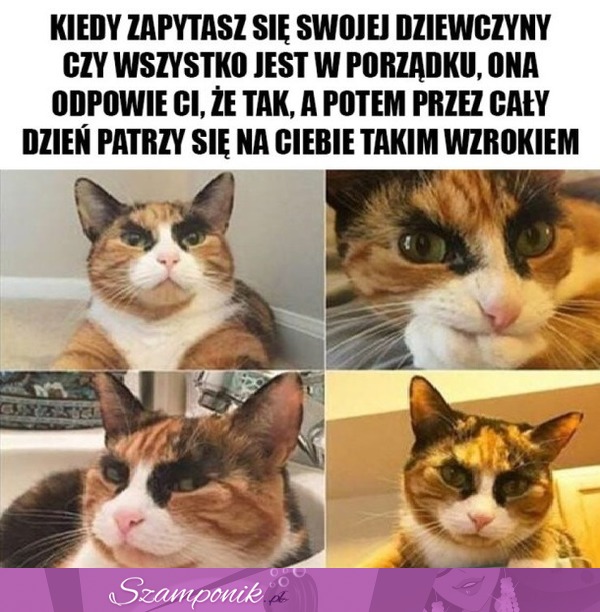 Wszystko ok...