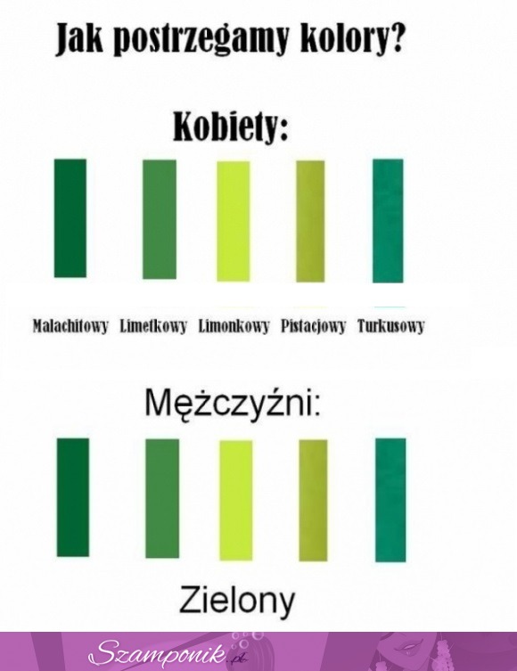 Jak postrzegamy KOLORY?  Kobieta vs Facet ;D