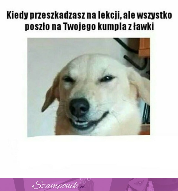 Kiedy przeszkadzasz na lekcji