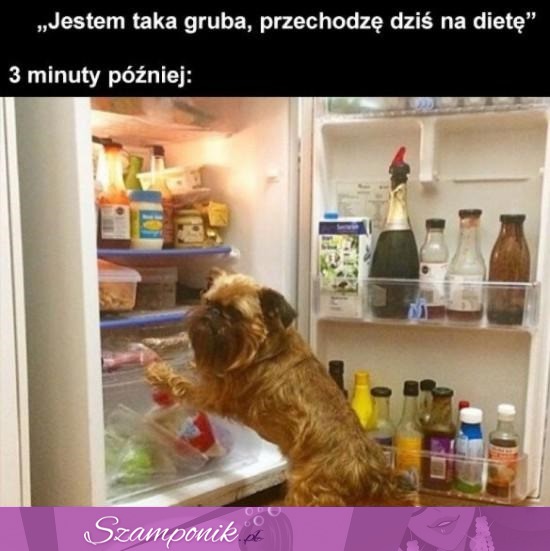 Przechodzę na dietę, jestem gruba