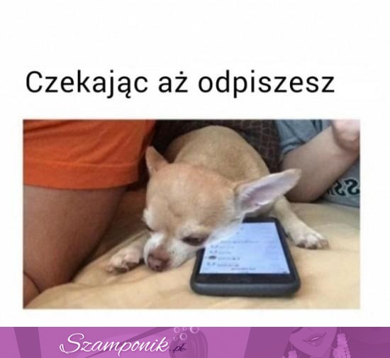 Kiedy czekasz na odpisanie...