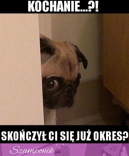 Mogę wejść?