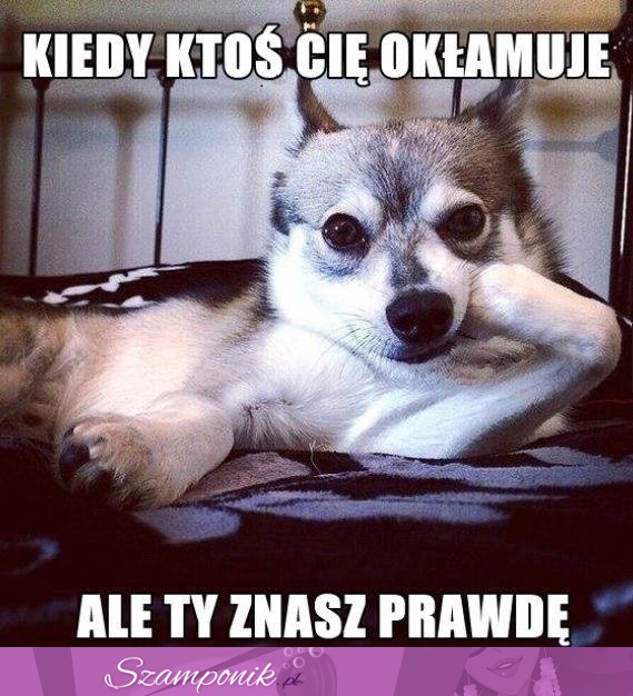 Kiedy ktoś Cię okłamuje... ;P