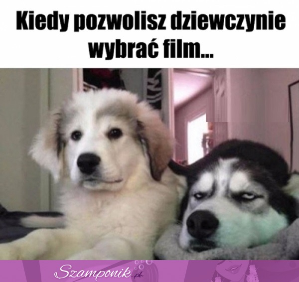 Teraz siedź cicho i oglądaj... ;P