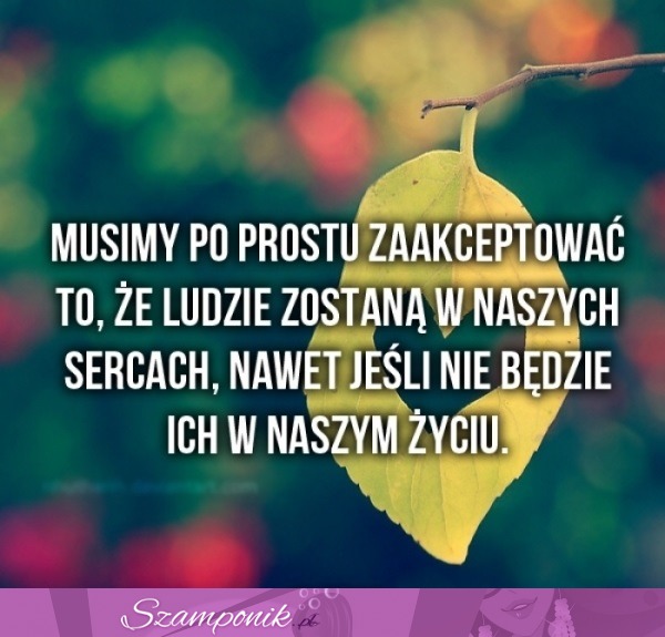 Musimy po prostu...