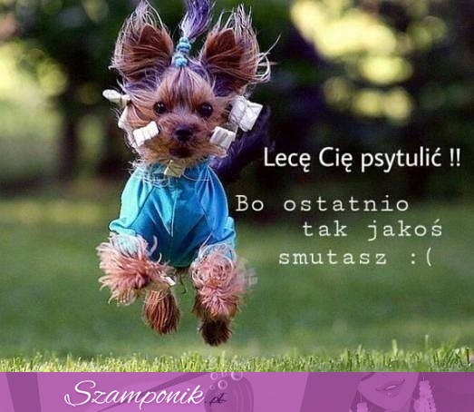 Lecę Cię psytulić ;)